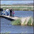 Bike-AlamedaCreekTrail09-204c.jpg