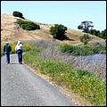 Bike-AlamedaCreekTrail09-222d.jpg