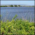 Bike-AlamedaCreekTrail09-226c.jpg