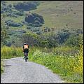 Bike-AlamedaCreekTrail09-247b.jpg