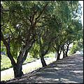 Bike-AlamedaCreekTrail09-279b.jpg