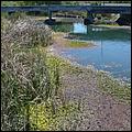 Bike-CoyoteCreekTrail09-026b.jpg