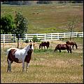 Bike-CoyoteCreekTrail09-040c.jpg