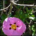 Bike-CoyoteCreekTrail09-054b.jpg