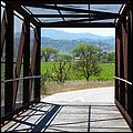 Bike-CoyoteCreekTrail09-070b.jpg