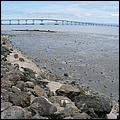 Bike-SFBayTrail_FosterCity09-030b.jpg