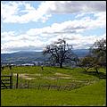 MorganHill09-01b1.jpg