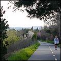 LosGatosTrail09-063c.jpg