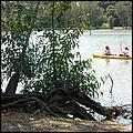 Vasona09-093b.jpg