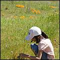 Wildflowers-GrantCP_APR09-033b.jpg