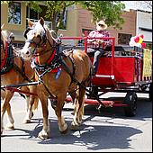 LosAltosPetParade10-42a1b.jpg