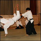 SpiritofJapantown10-166a1b.jpg