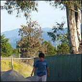 CampbellDogPark10-032b.jpg