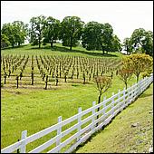 GoldCountry10-114a-ShenandoahRdWineries-web.jpg