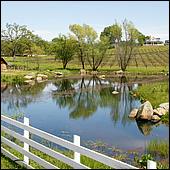 GoldCountry10-129a-ShenandoahRdWineries-web.jpg