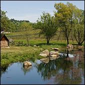 GoldCountry10-131-ShenandoahRdWineries-web.jpg