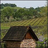 GoldCountry10-132a2-ShenandoahRdWineries-web.jpg