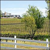 GoldCountry10-142a3-ShenandoahRdWineries-web.jpg