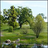 GoldCountry10-143a1-ShenandoahRdWineries-web.jpg