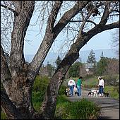 LosGatosTrail10-045b.jpg