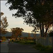 LosGatosTrail10-114b.jpg