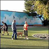 CampbellDogPark11-017a.jpg