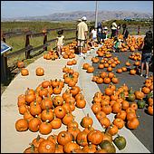 Day on the Bay 2011-047a.jpg