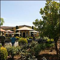 GoldCountry10-103a-ShenandoahRdWineries-web.jpg