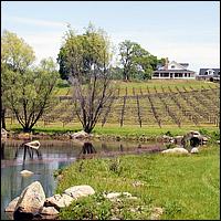 GoldCountry10-115a-ShenandoahRdWineries-web.jpg