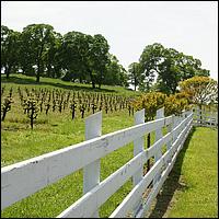 GoldCountry10-116-ShenandoahRdWineries-web.jpg