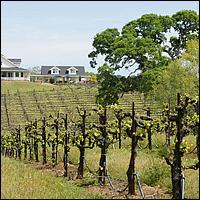 GoldCountry10-119-ShenandoahRdWineries-web.jpg