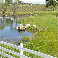 GoldCountry10-130-ShenandoahRdWineries-web.jpg