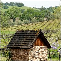 GoldCountry10-133a-ShenandoahRdWineries-web.jpg