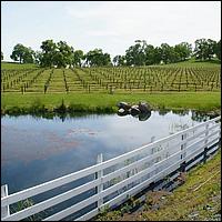 GoldCountry10-134-ShenandoahRdWineries-web.jpg