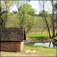 GoldCountry10-136a-ShenandoahRdWineries-web.jpg