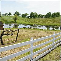 GoldCountry10-140-ShenandoahRdWineries-web.jpg