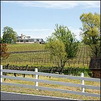 GoldCountry10-142a-ShenandoahRdWineries-web.jpg