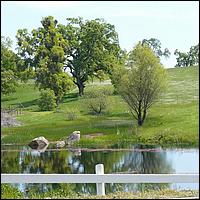 GoldCountry10-144-ShenandoahRdWineries-web.jpg