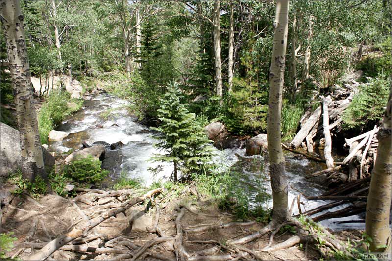 RockyMountainNP08-240c.jpg - for personal use