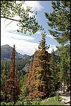 RockyMountainNP08-015d.jpg