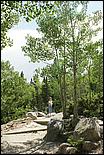 RockyMountainNP08-057b.jpg