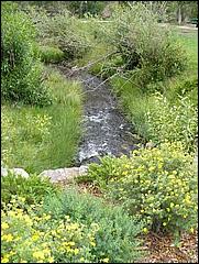 Meers_EstesPark08-39b.jpg