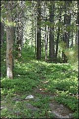 RockyMountainNP08-035b.jpg