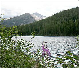 RockyMountainNP08-313d.jpg