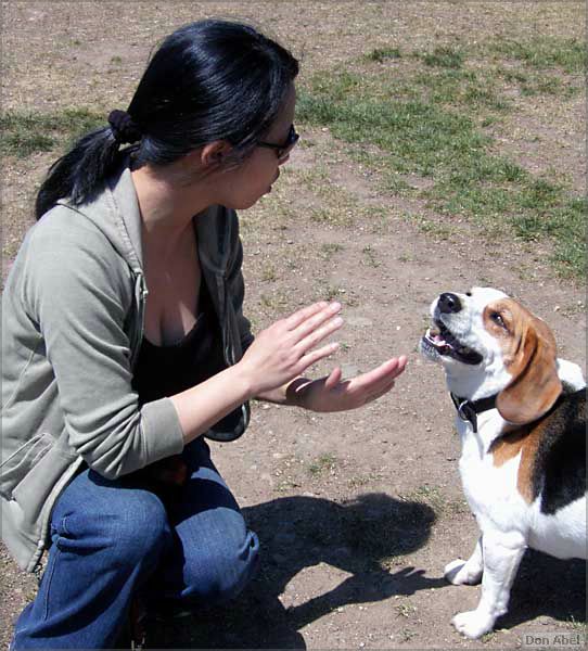 AlmadenDogPark06-067b.jpg