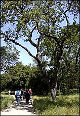 AlmadenDogPark06-023b.jpg