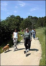 AlmadenDogPark06-027b.jpg