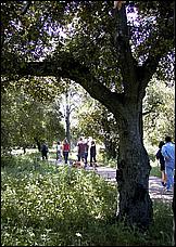 AlmadenDogPark06-031b.jpg