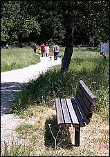 AlmadenDogPark06-072c.jpg