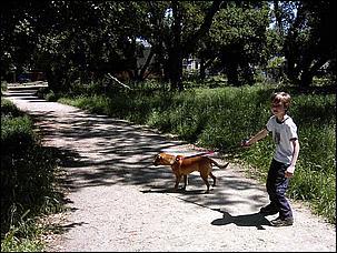 AlmadenDogPark06-077b.jpg